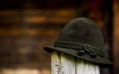 Erdészportrék – videó sorozat indul!