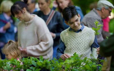 10 éves a Madarak és Fák Napja Emlékerdő