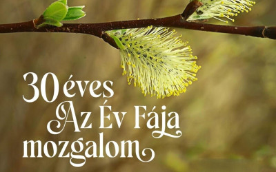 30 éves az Év Fája mozgalom
