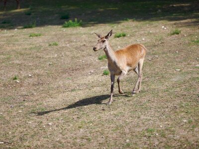 DSC02367_14_11zon