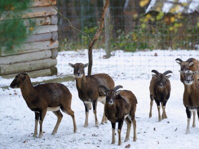 587531508_1368591905278681_8895422576379701887_n