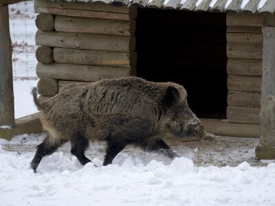 586525049_1368592421945296_8290349974440346691_n