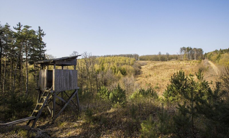 Aktuális kutatások