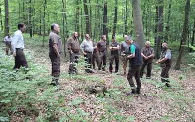 A Pilisi Parkerdőnél jártak a Tanulmányi Erdőgazdaság munkatársai