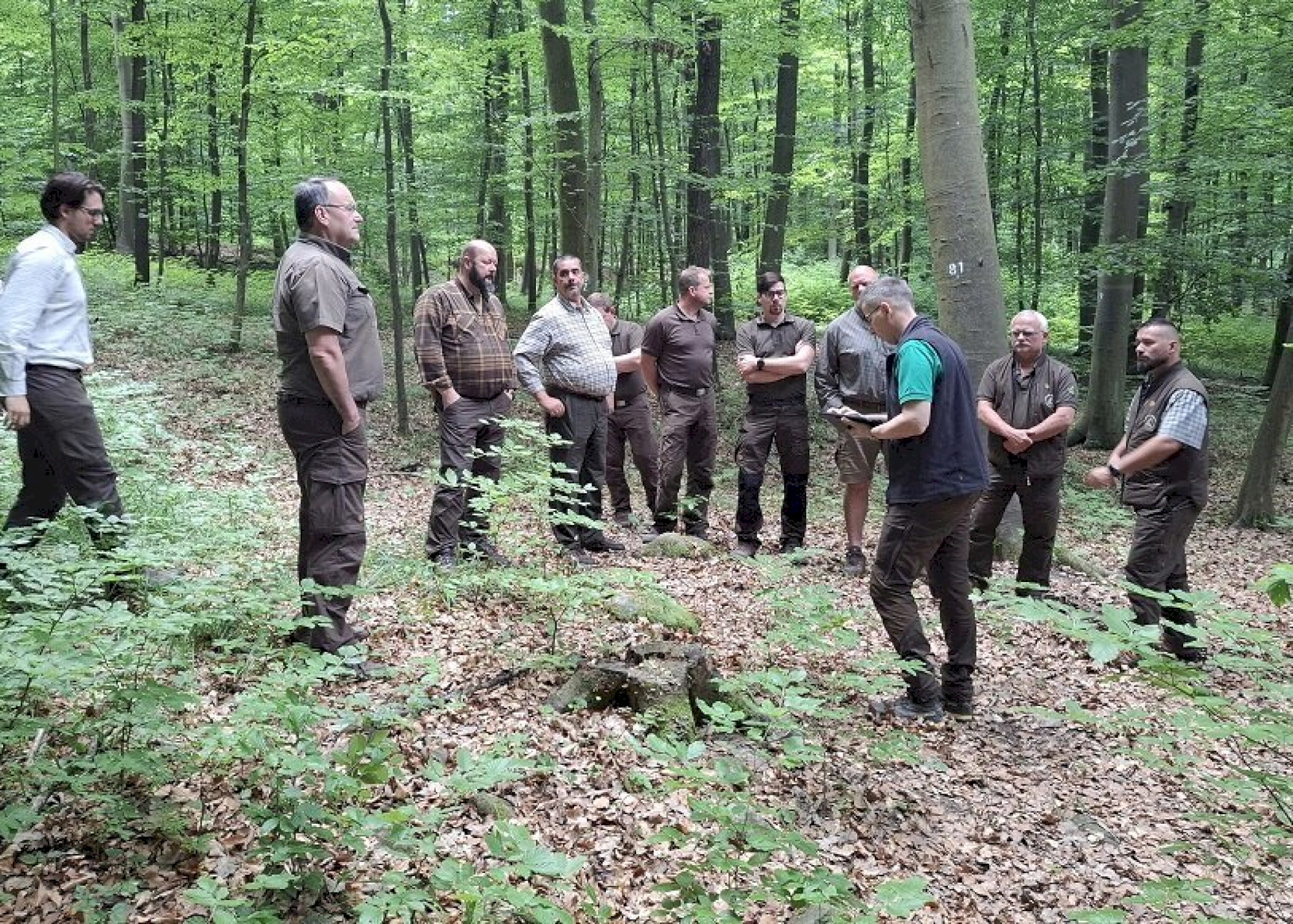 A Pilisi Parkerdőnél jártak a Tanulmányi Erdőgazdaság munkatársai