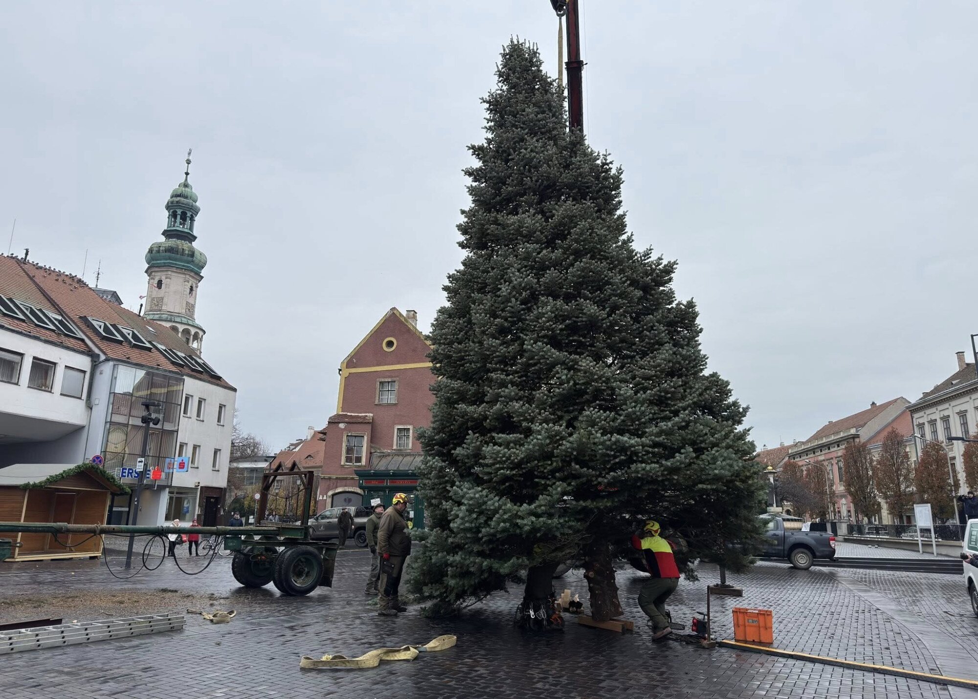 A TAEG Zrt. hathatós segítségével került helyére Sopron karácsonyfája
