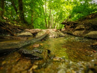 AUT (1 of 1)-24_11_11zon