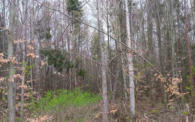 Az erős szél hatásai – mindig legyünk körültekintőek