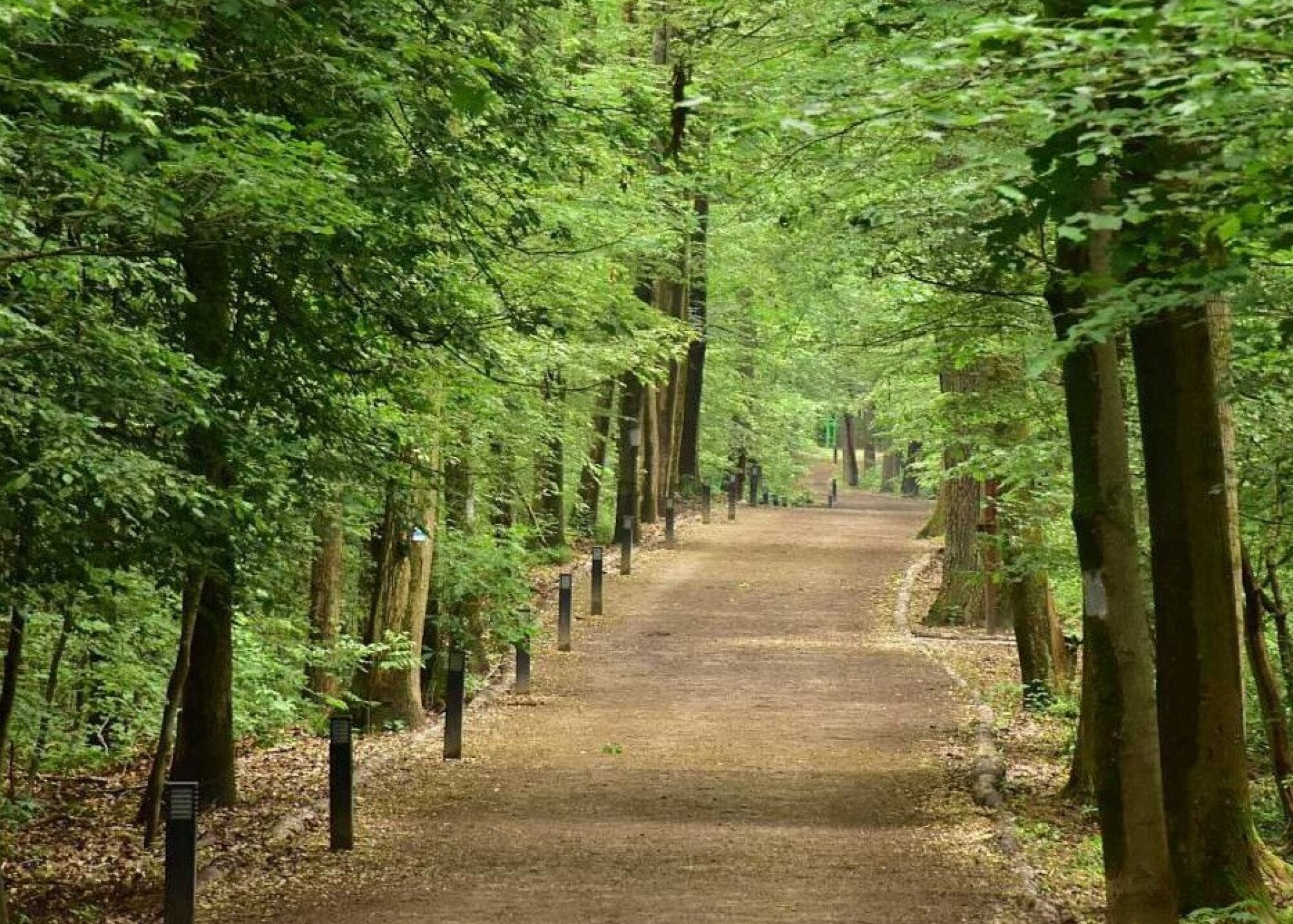 Az Ojtozi sétány földkábeleit cserélik