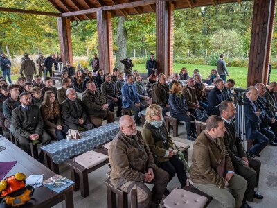 565112200_1335226385281900_5500158622299676693_n