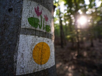 CIK (1 of 1)-6_2_11zon