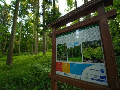 CIK (1 of 1)-34_8_11zon