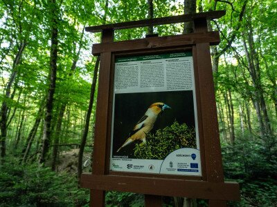 CIK (1 of 1)-40_9_11zon