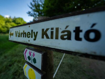 CIK (1 of 1)_1_11zon