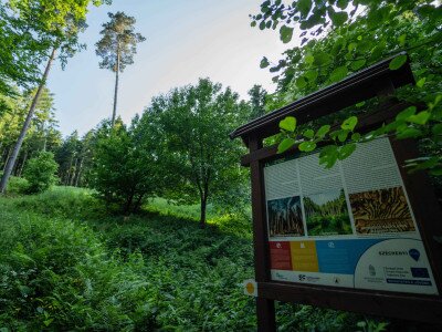 CIK (1 of 1)-8_3_11zon