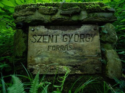 CIK (1 of 1)-10_4_11zon