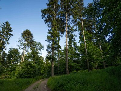 CIK (1 of 1)-21_6_11zon