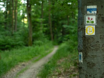 CIK (1 of 1)-27_7_11zon