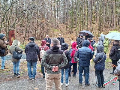 20260326_110235_1_11zon