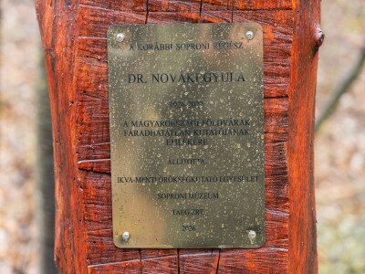 657177708_1474617118009492_6964212176693299162_n