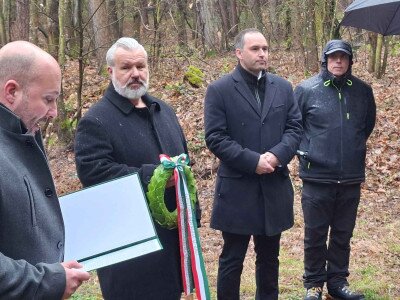 20260326_110418_8_11zon