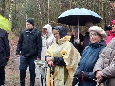 20260326_110409_7_11zon