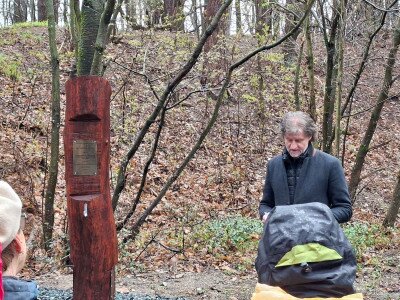 20260326_110654_9_11zon