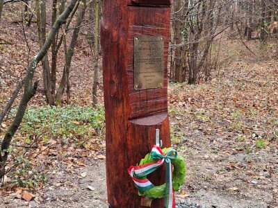 20260326_111430_11_11zon