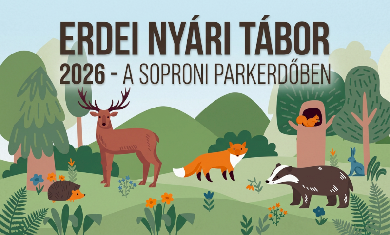 EEI - táborok