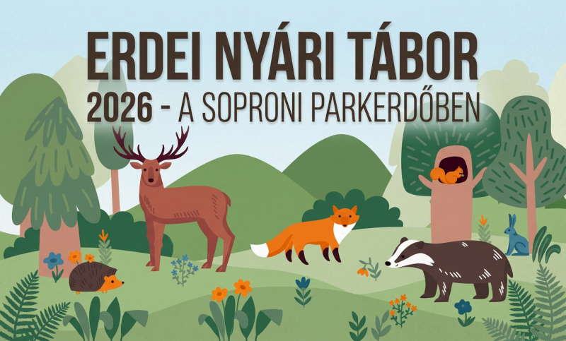 EEI - táborok