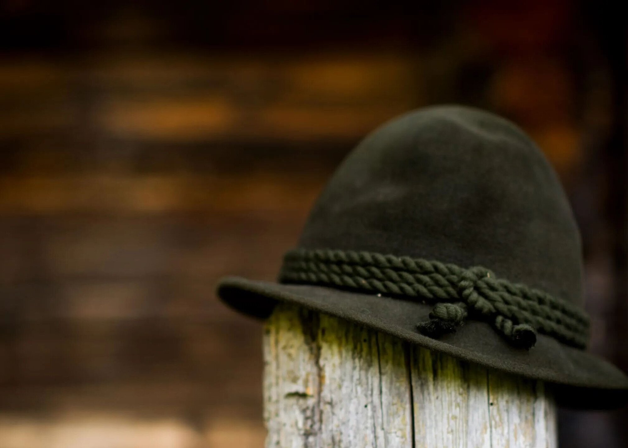 Erdészportrék – videó sorozat indul!