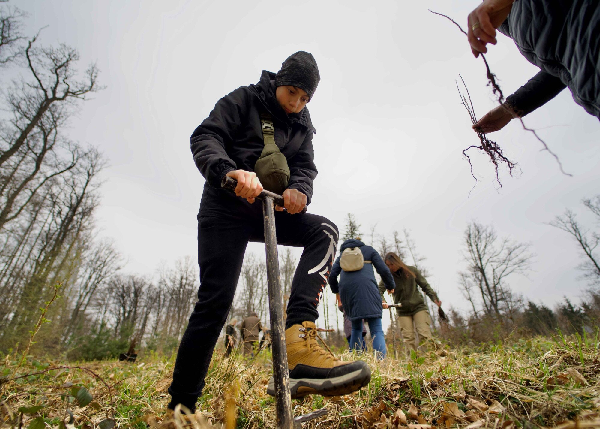 Erdők nemzetközi napja az Erdő Házában