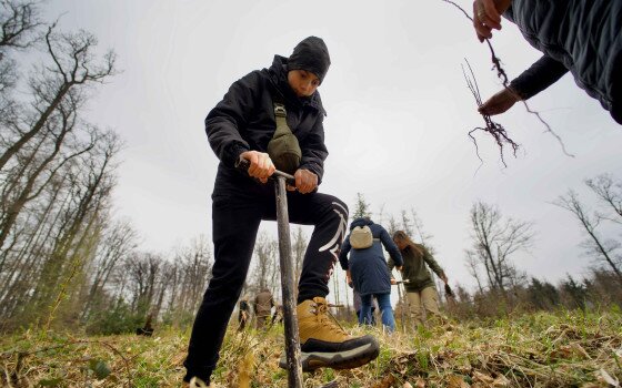 Erdők nemzetközi napja az Erdő Házában