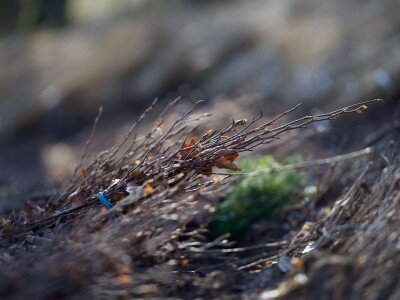 DSC08038_1_11zon