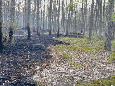 490356360_1174961524641721_6516199889288148617_n