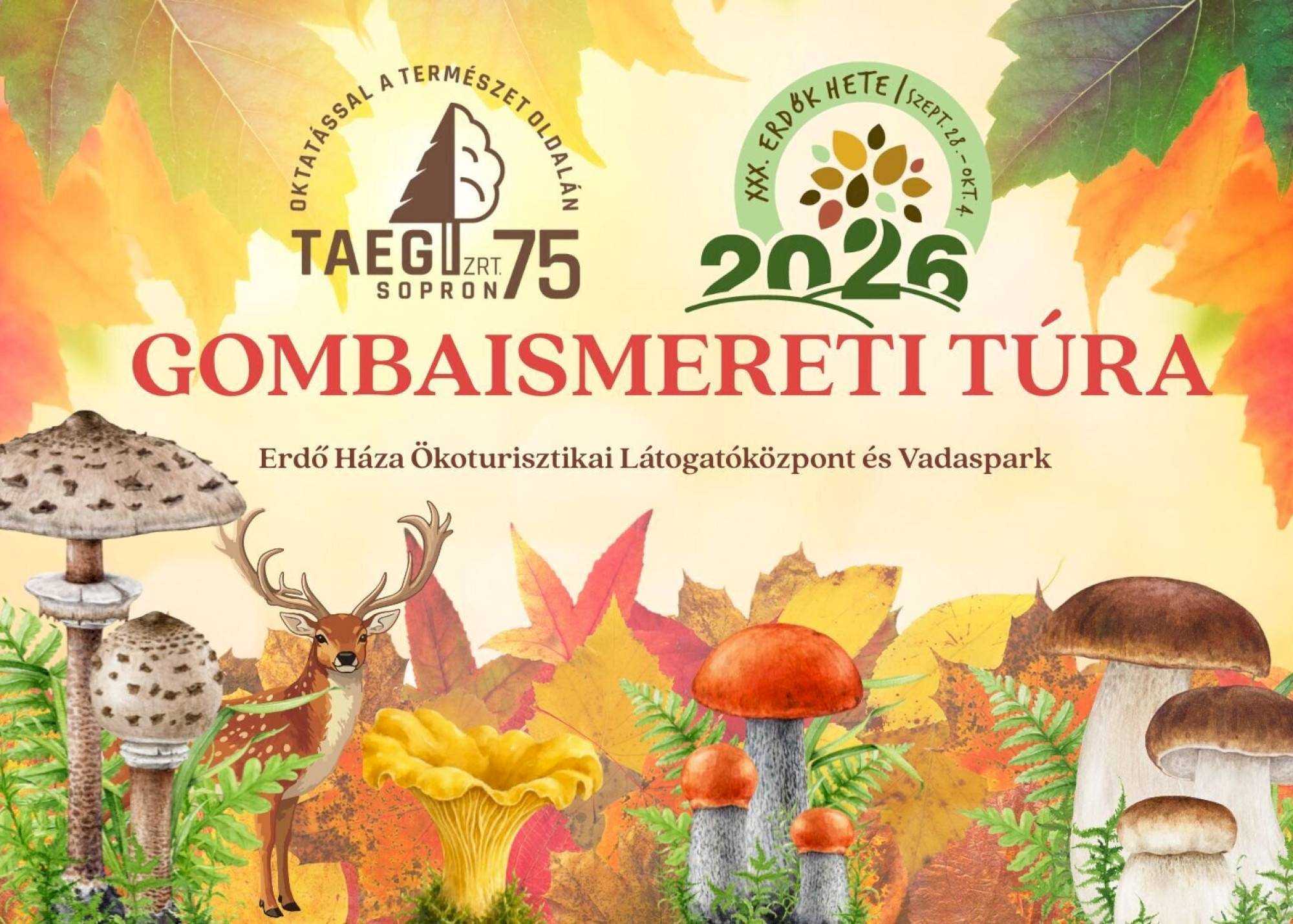 Gombatúra szakvezetéssel a Soproni Parkerdőben