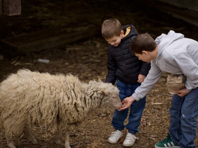 666831593_1255207076700335_432538459278227351_n