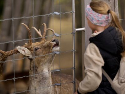 666391018_1255206280033748_3677106984549360811_n