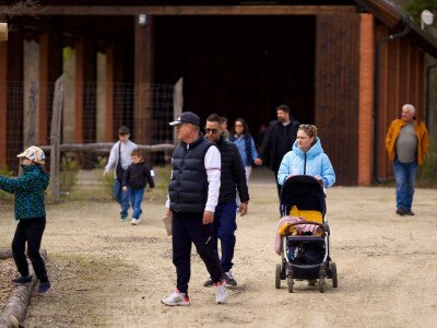 666946772_1255207120033664_2858945391983040056_n