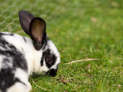 666295255_1255206643367045_672093517934808279_n