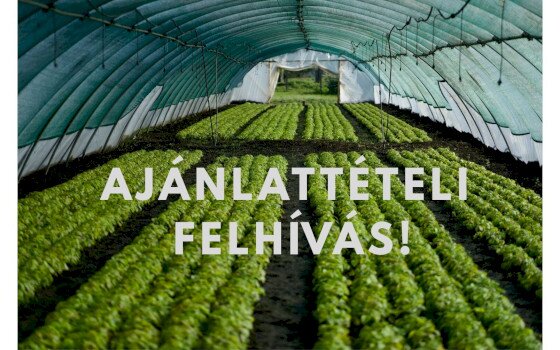 Ismételten várjuk ajánlattevők jelentkezését fóliasátor és öntözőrendszer kialakítására