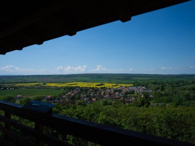 Kecske (1 of 1)-3