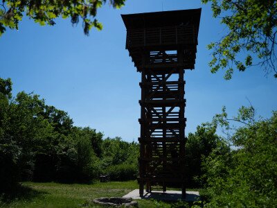 Kecske (1 of 1)-15