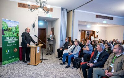 Képernyőidő helyett “zöld idő”