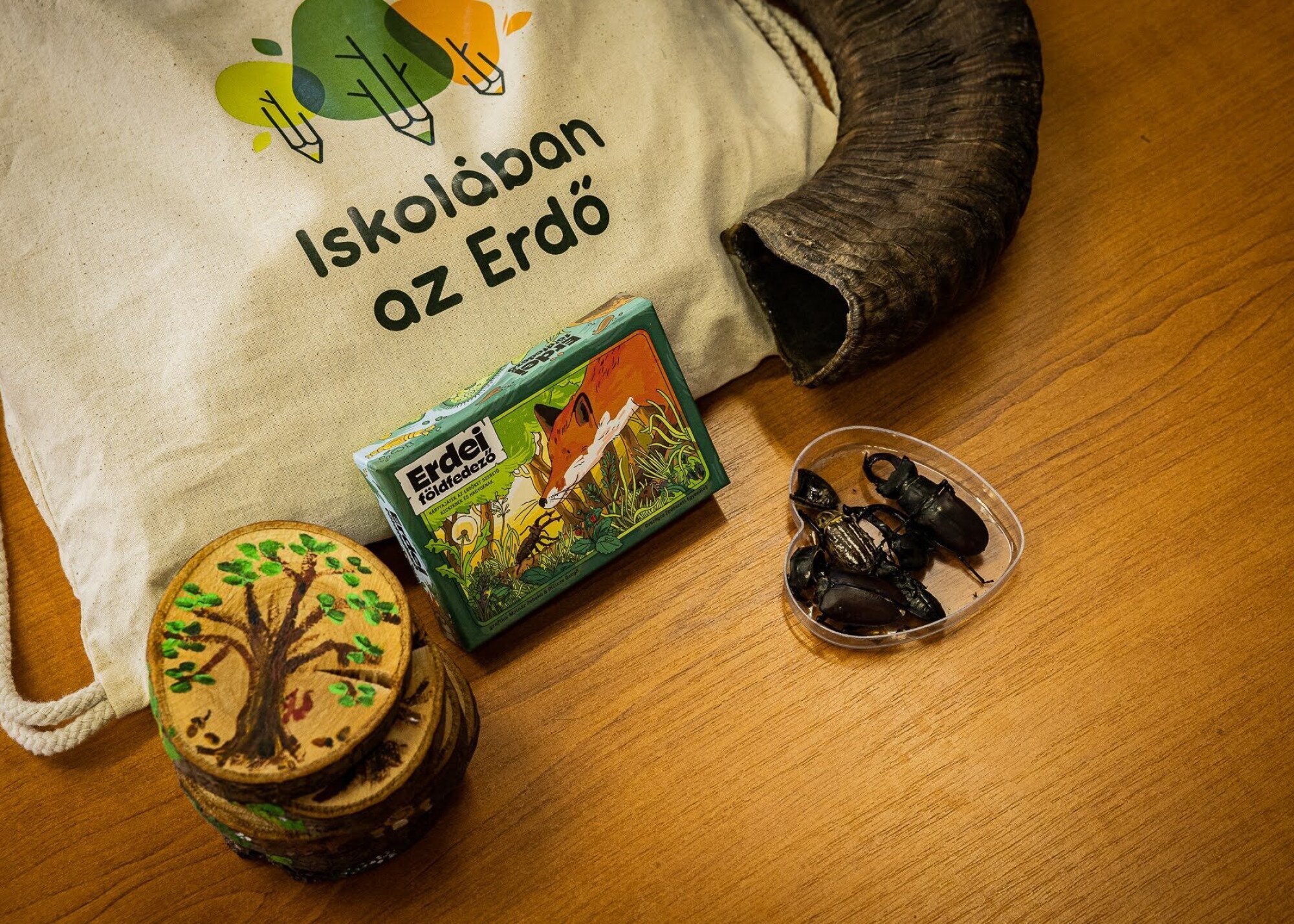 Kupac kupacs és kukacos gubacs - Indul a regisztráció a 2026-os Iskolában az Erdő Programra