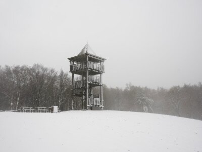 DSC00325