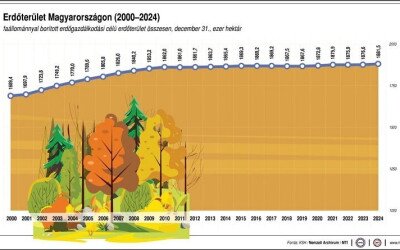 Megjelent Magyarország erdeinek összefoglaló adatai 2024 című kiadvány