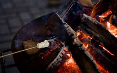 Megtartotta idei első családi programját az Erdő Háza