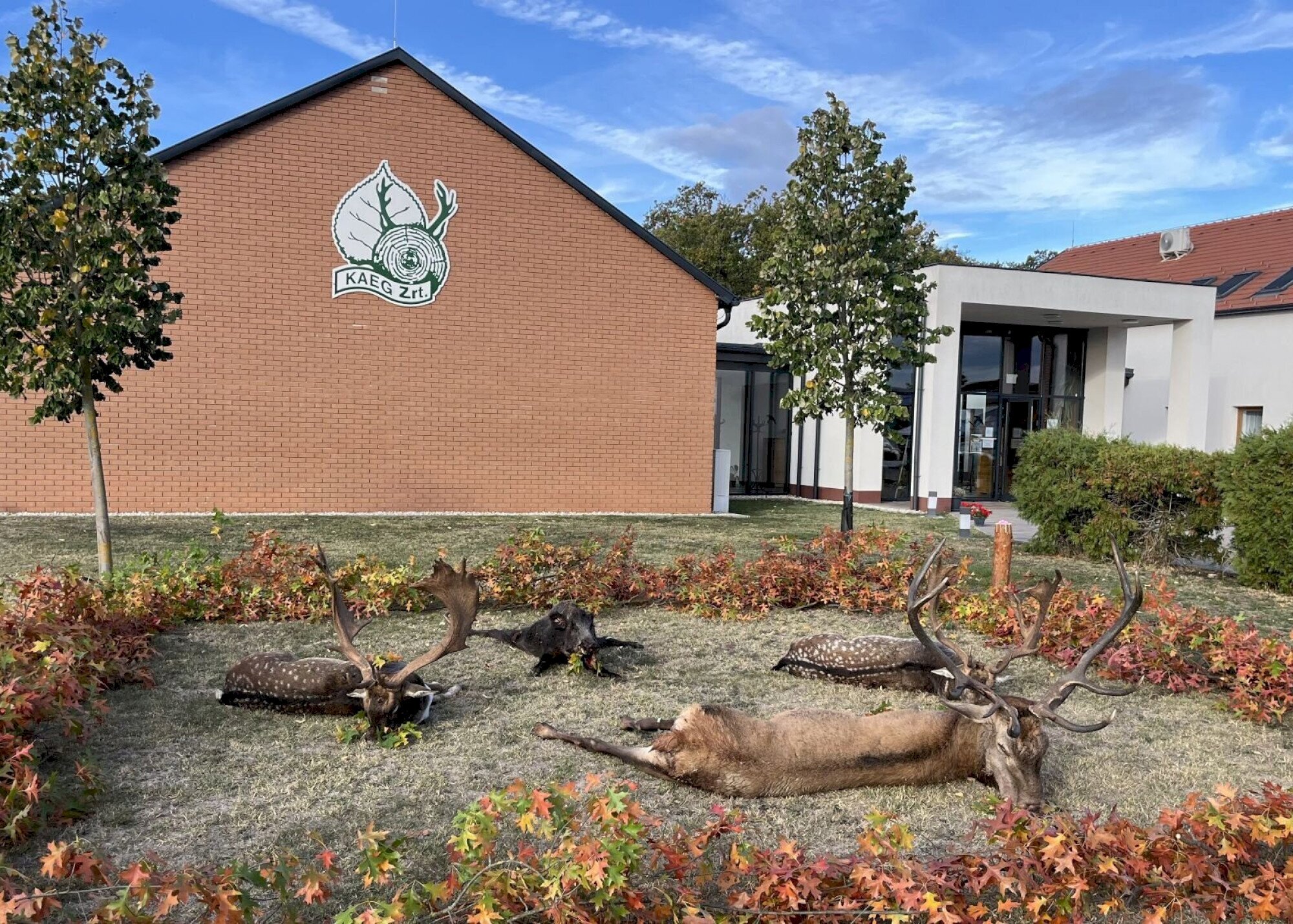 Megyei vadásznap Göbös-majorban