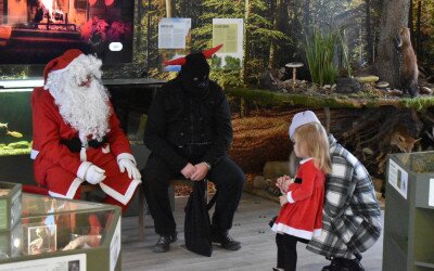 Mikulás az Erdő Házában - programajánló